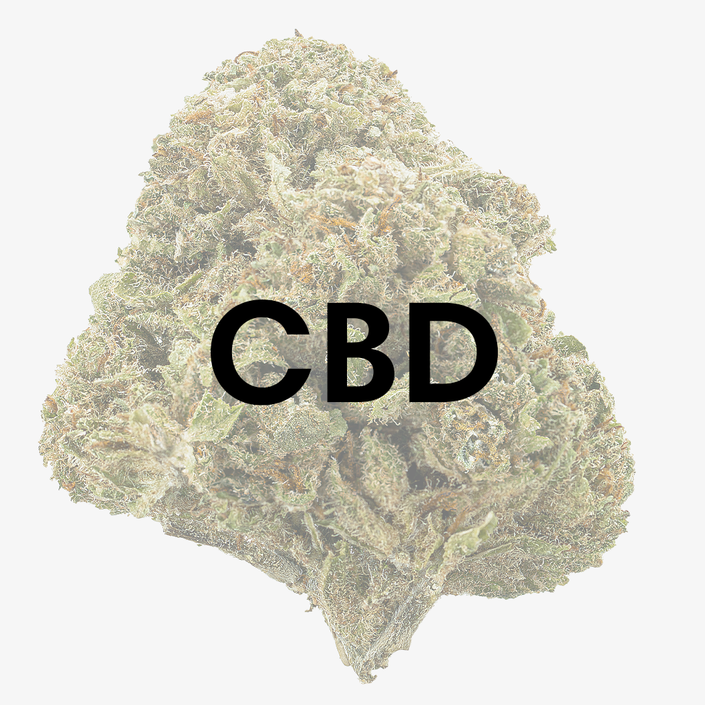 Laglig cannabis - CBD - Herbz.dk