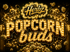 Popcornknoppar