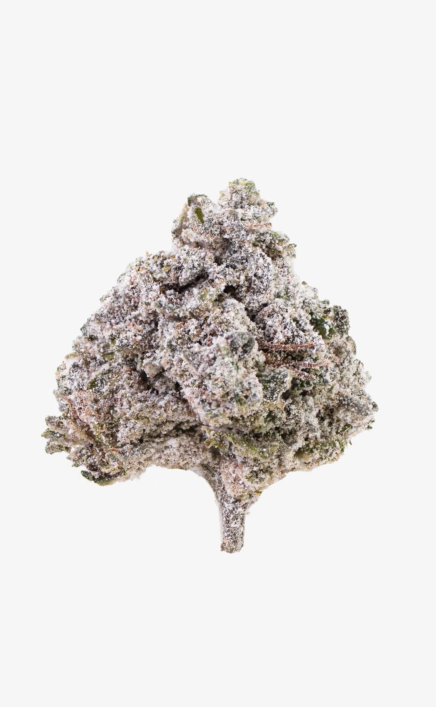 thca cannabis-toppskott