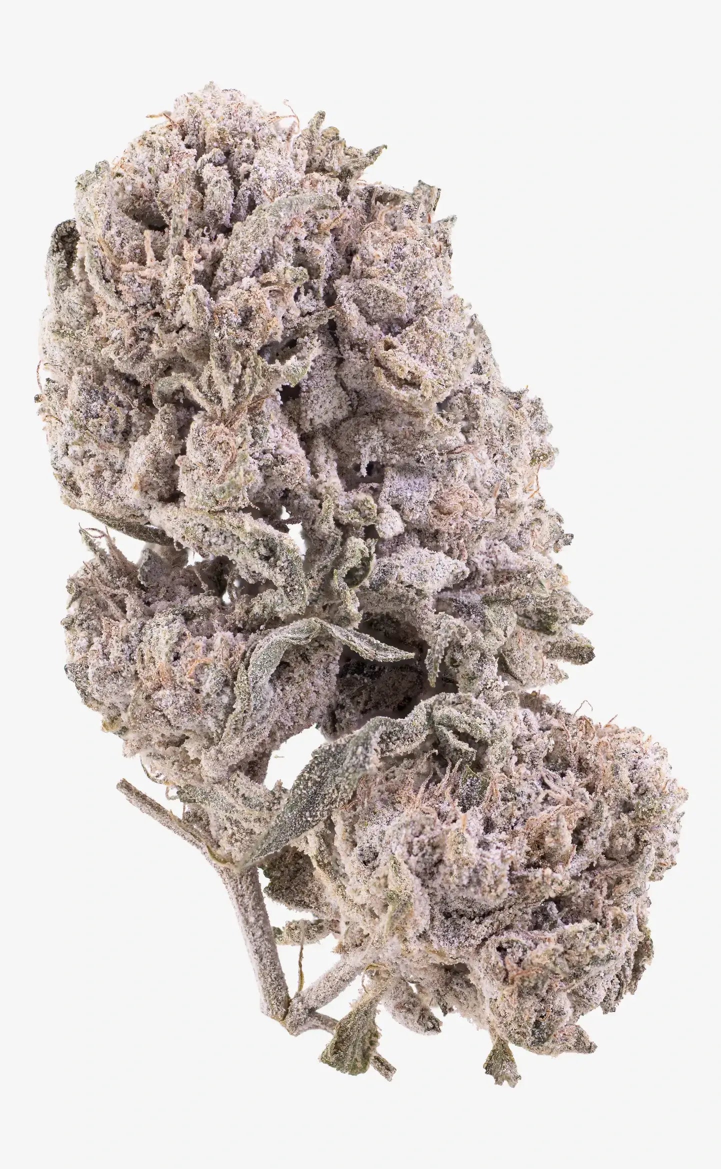 herbz cannabis-toppskott thca polar pineapple
