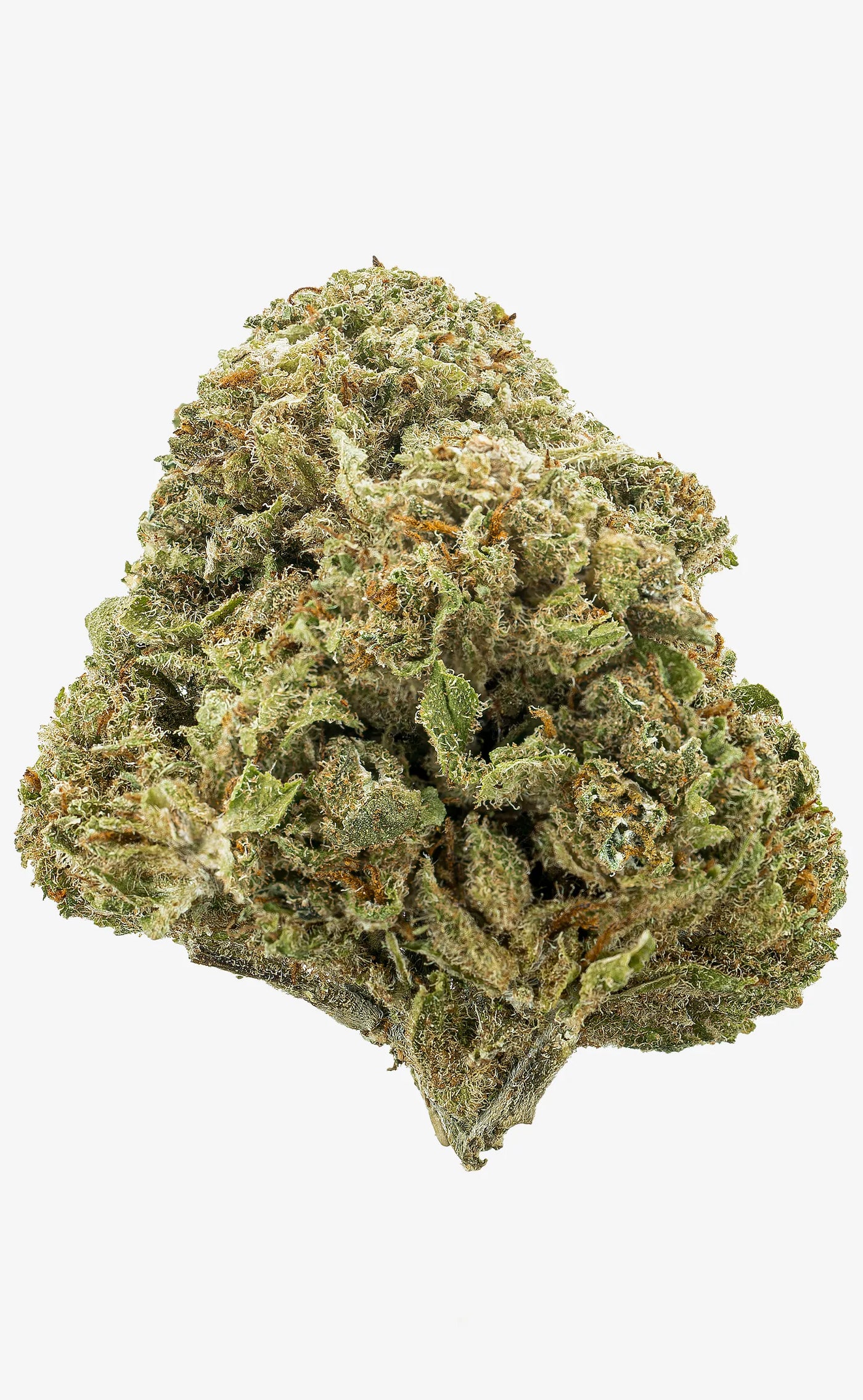 Zkittlez | 16% CBD - herbz.dk herbz.dk 1 g CBD Toppskott - laglig cannabis