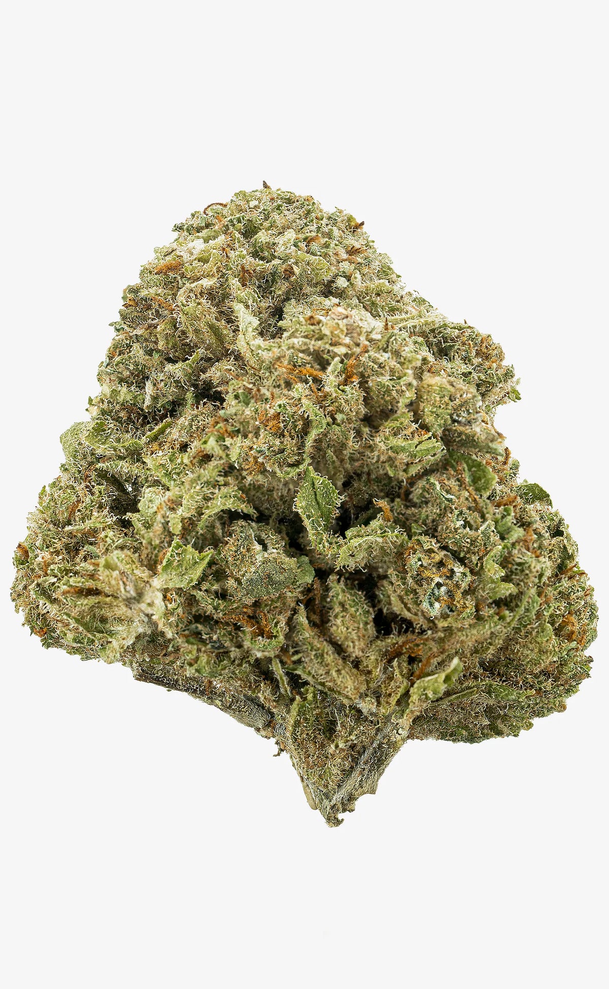 Zkittlez | 16% CBD - herbz.dk herbz.dk 1 g CBD Toppskott - laglig cannabis