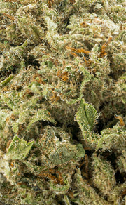 Zkittlez | 16% CBD - herbz.dk herbz.dk 1 g CBD Toppskott - laglig cannabis