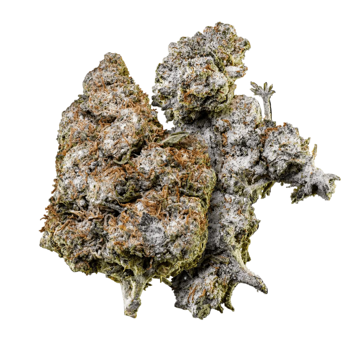 10 g O.G. Zkittles 24% THCA och 10 g Orange Tangie Smalls 22% THCA samlade i Herbz-bundle