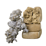 10 g Orange Tangie Smalls 22% THCA och 10 g Piatella 60% THCA samlade i Herbz-bundle