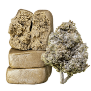 10g Piatella 60% THCA och 10g Thai Haze 23% THCA samlade i ett Herbz-paket