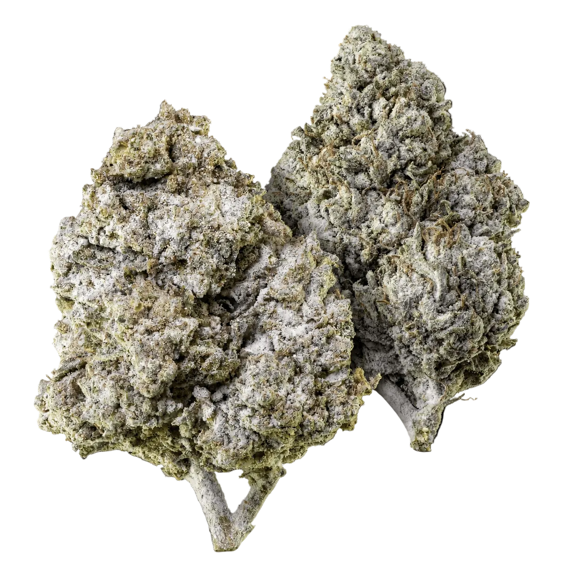 10g Thai Haze 23% THCA och 10g Amnesia Haze 23% THCA samlade i ett Herbz-paket