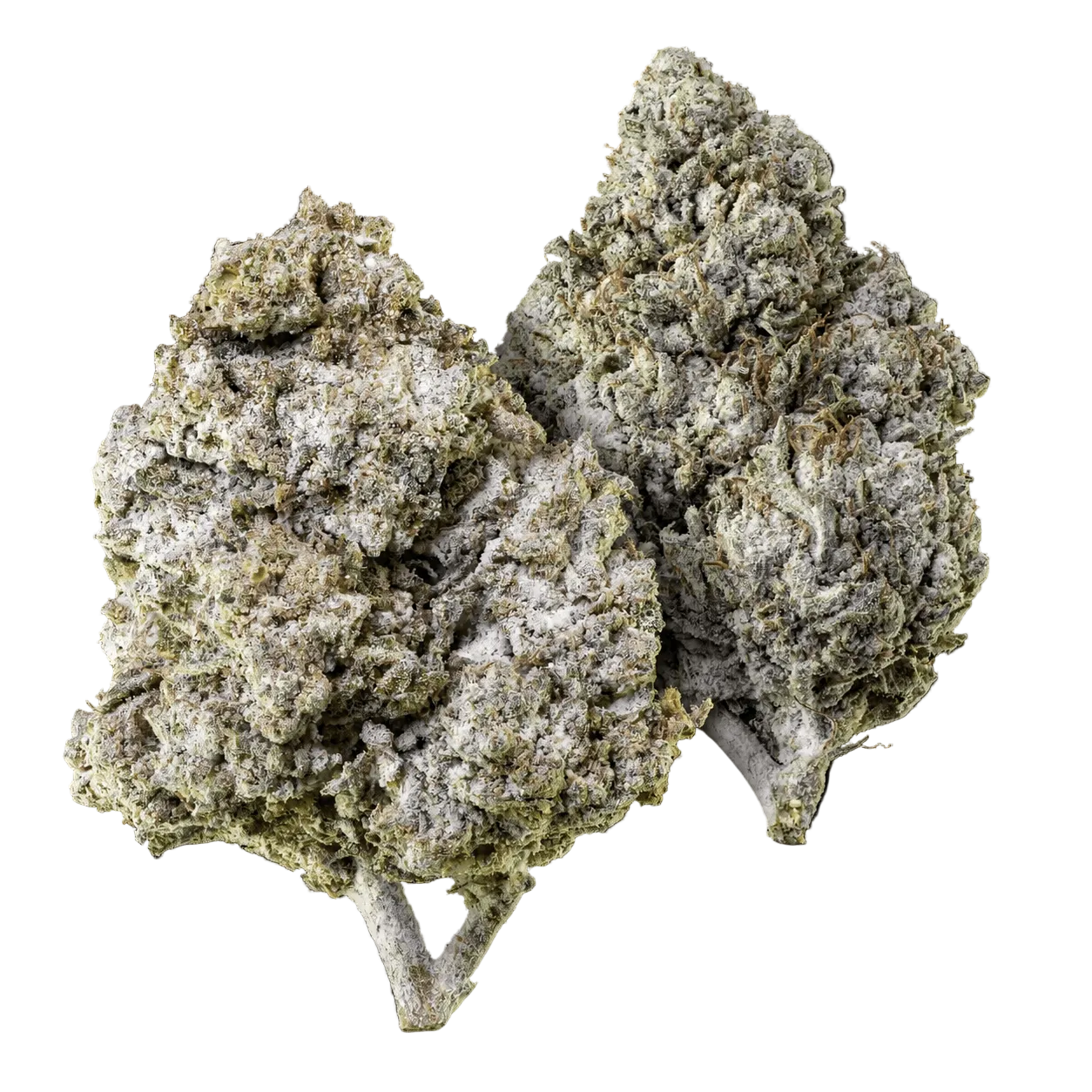 10g Thai Haze 23% THCA och 10g Amnesia Haze 23% THCA samlade i ett Herbz-paket