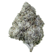 Herbz Amnesia Haze 10 g förpackning med lila och grön design