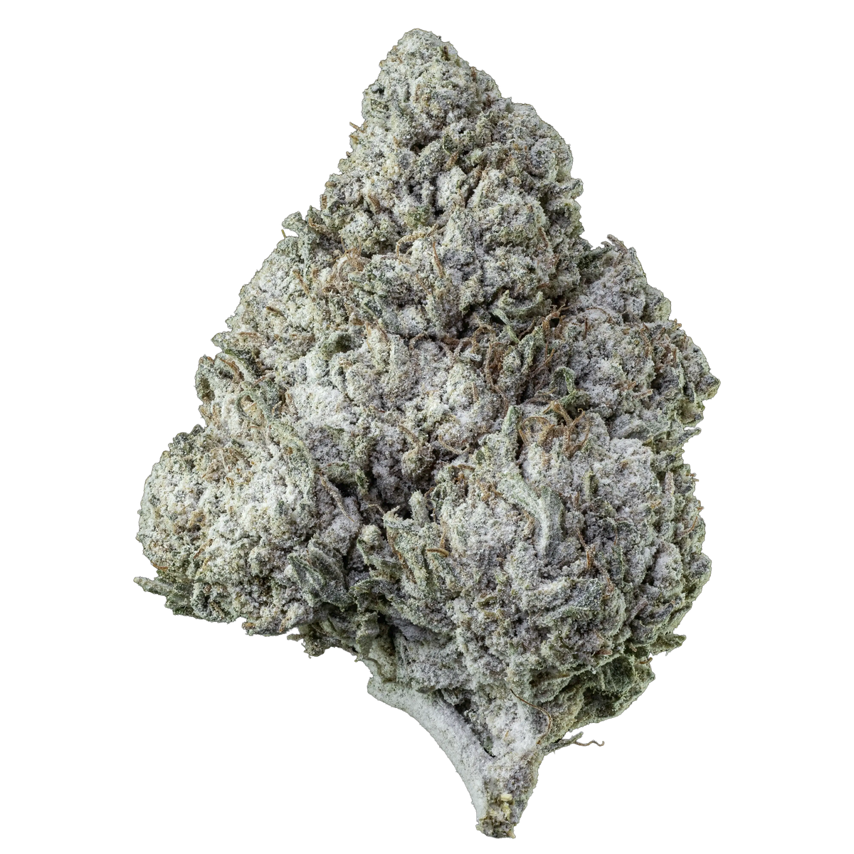 Herbz Amnesia Haze 10 g förpackning med lila och grön design