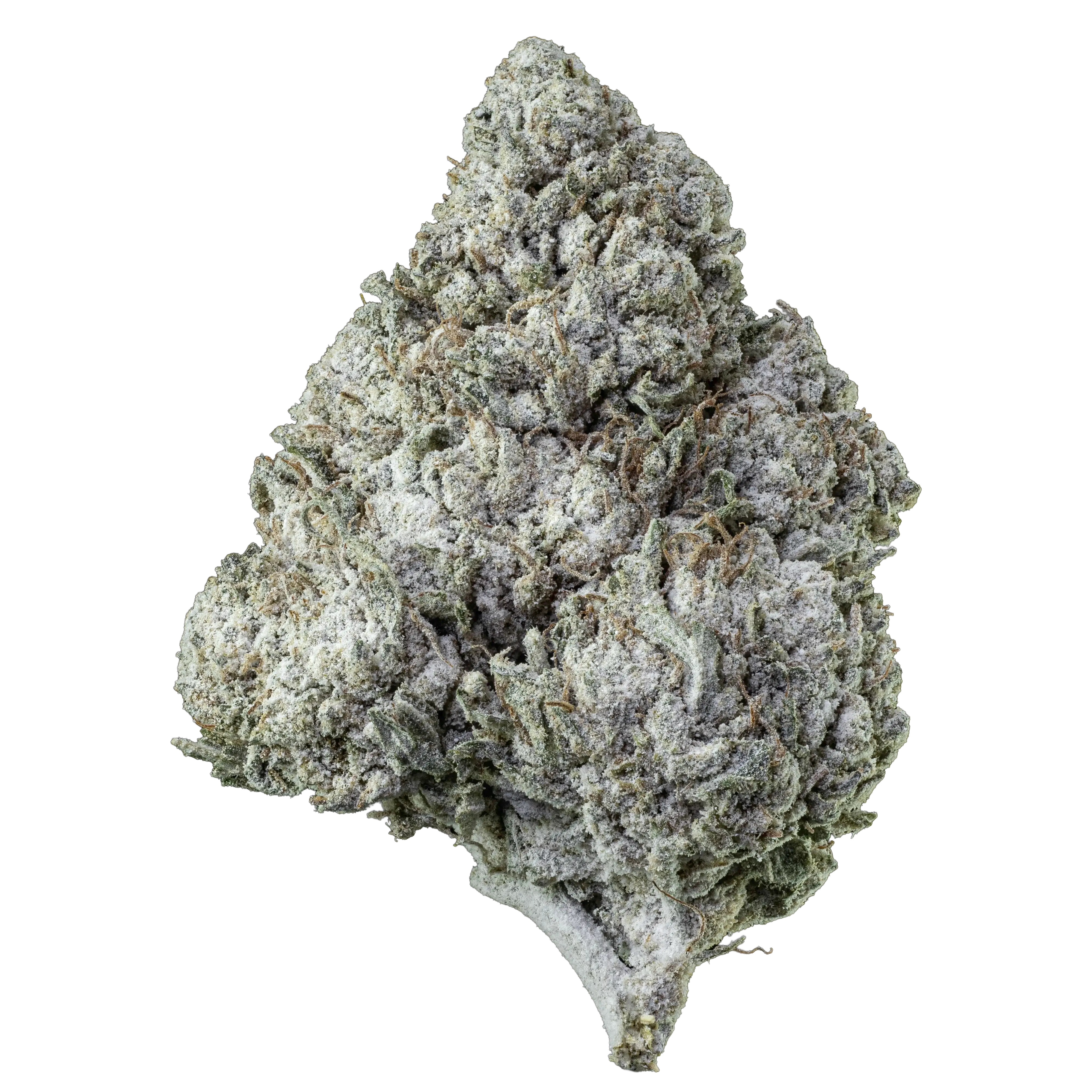 Herbz Amnesia Haze 10 g förpackning med lila och grön design
