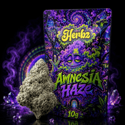 Närbild av Amnesia Haze 23% THCA med gröna nyanser och orange pistiller