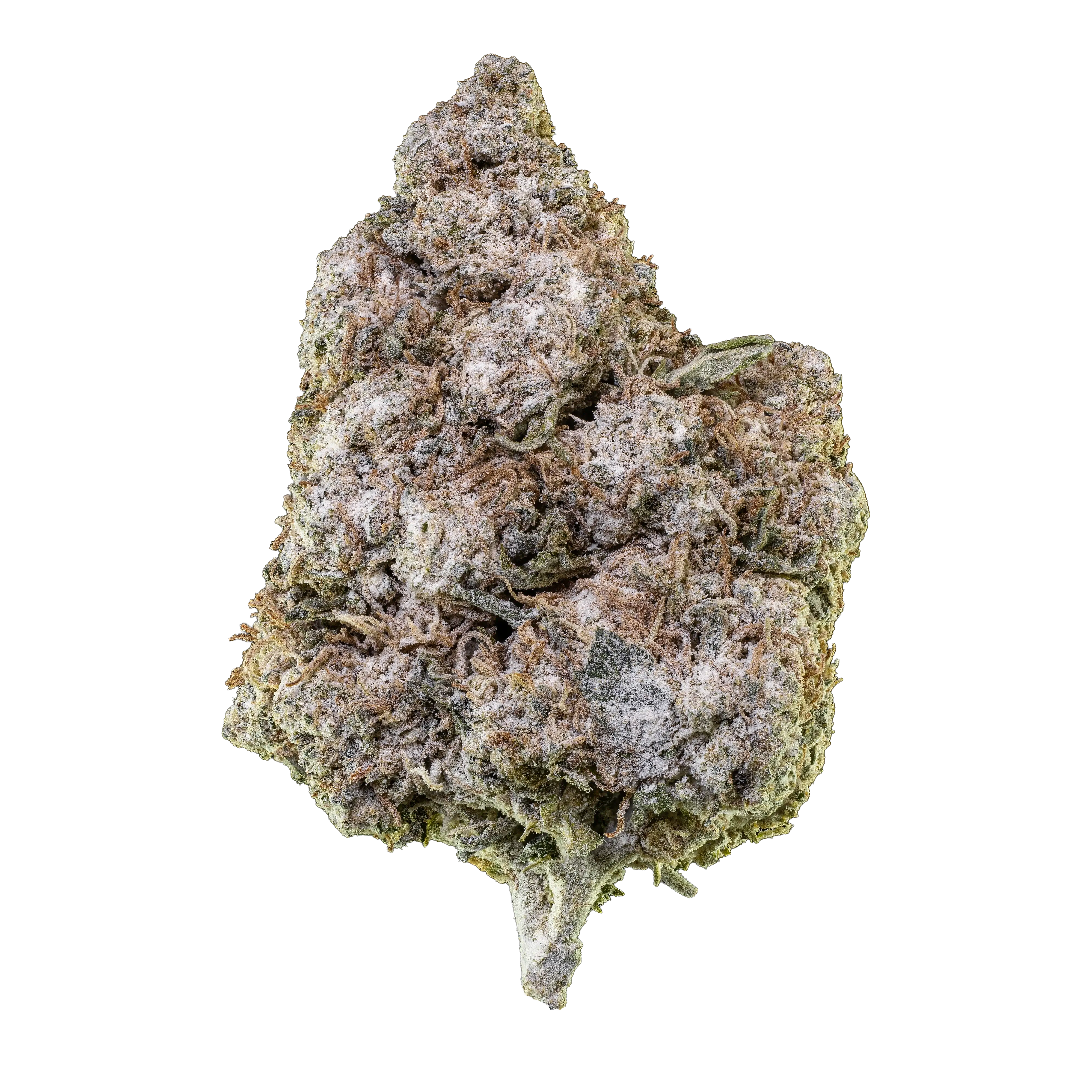 Herbz O.G. Zkittles 10g-förpackning med färgglad design och toppskott
