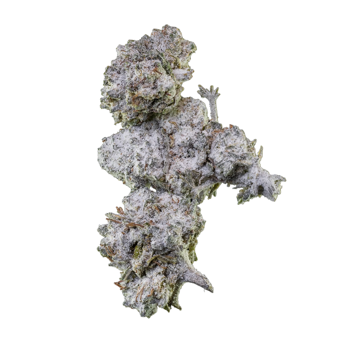 Herbz Orange Tangie Smalls 10g-förpackning med citrusinspirerad design