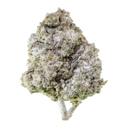 Herbz Thai Haze 10 g förpackning med grönt och gyllene djungelinspirerat design