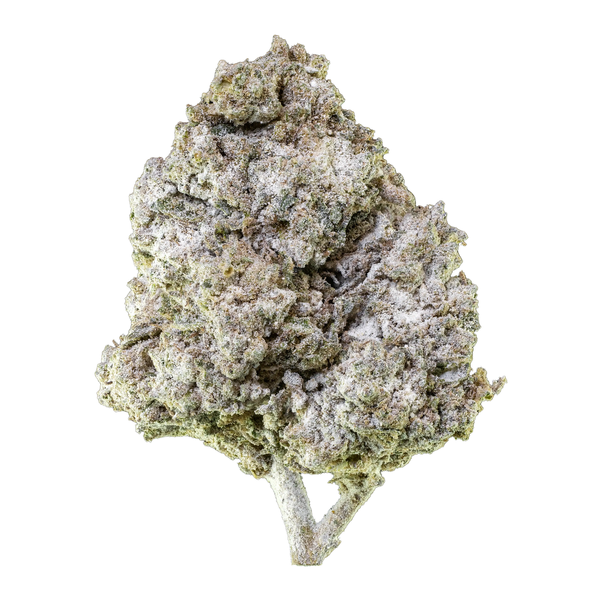 Herbz Thai Haze 10 g förpackning med grönt och gyllene djungelinspirerat design
