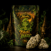 Närbild av Thai Haze 23% THCA med ljusgröna nyanser och orange pistiller